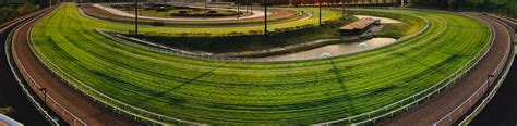 singapore racing portal.